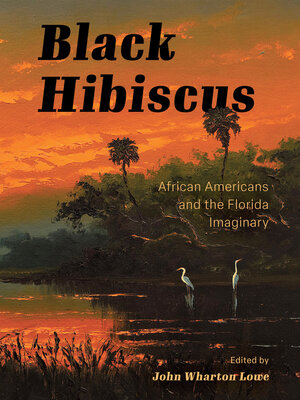 cover image of Black Hibiscus
